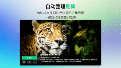 VidHub