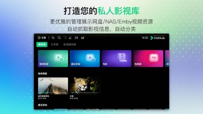 VidHub