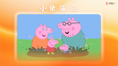 华数TV