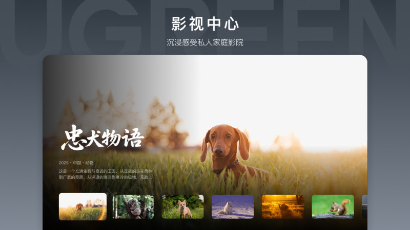 绿联云TV版