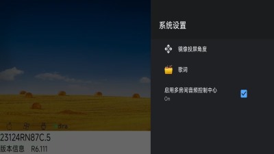 兔兔投屏