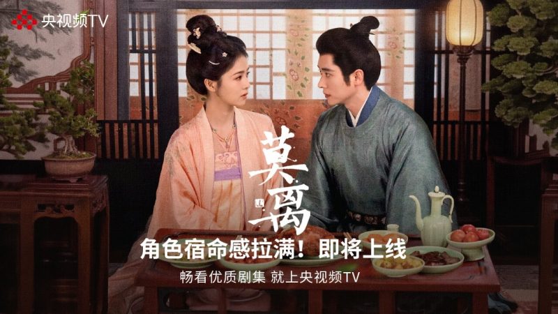 央视频TVTV版