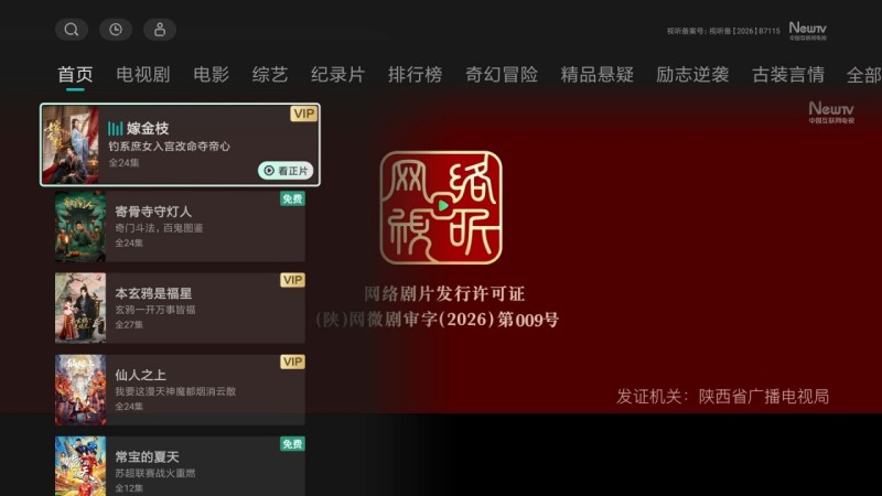 刷剧TV版