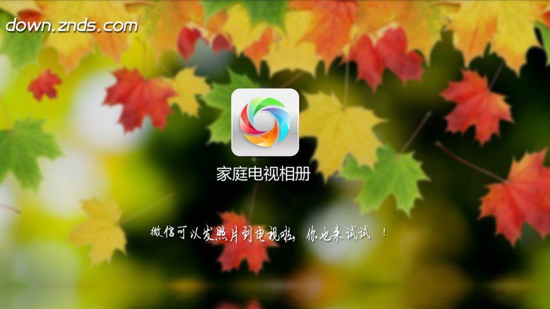 家庭電視相冊TV版