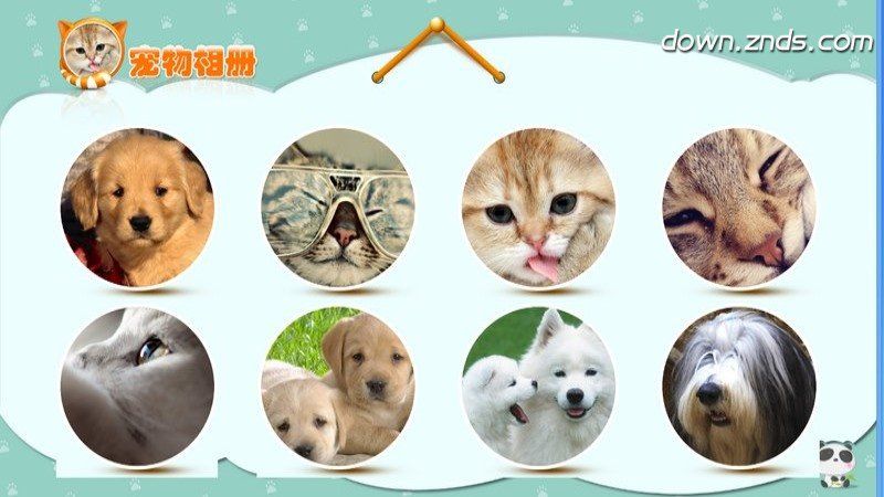 寵物相冊(cè)TV版