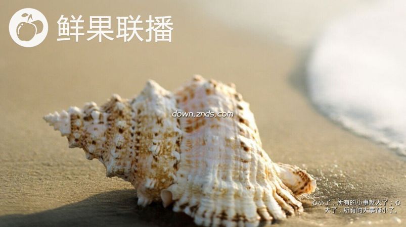 鮮果聯播TV版