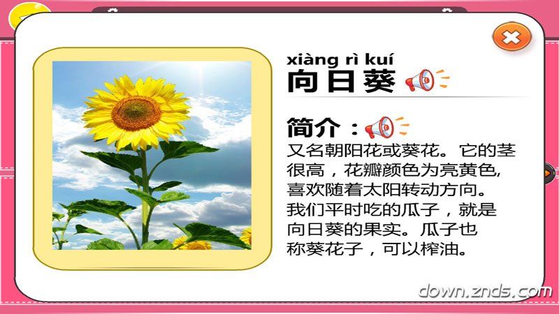 小朋友的黃金花園TV版