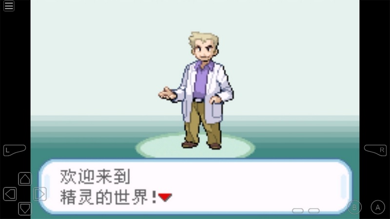 口袋妖怪綠葉TV版