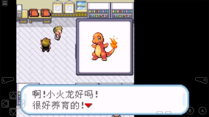 口袋妖怪綠葉TV版