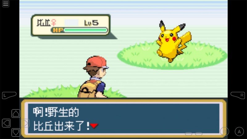 口袋妖怪綠葉TV版