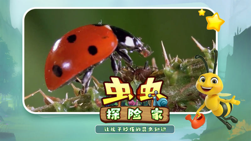 昆虫王国TV版