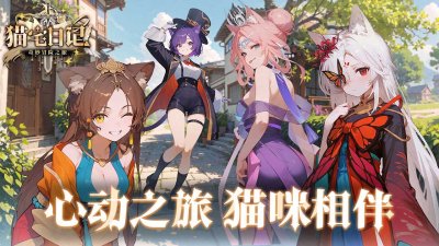 猫宅日记