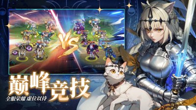 猫宅日记