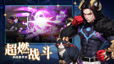 猫宅日记