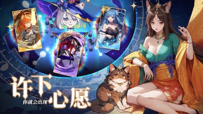 猫宅日记
